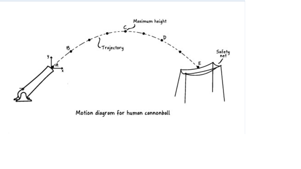 Solved How does the magnitude of the horizontal velocity