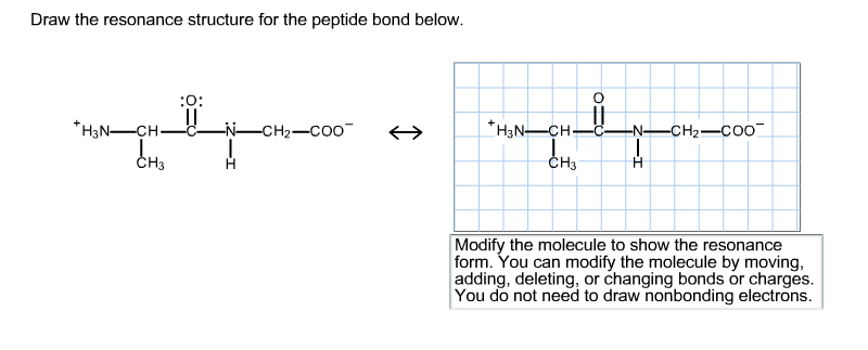 Draw the resonance structure for the peptide bond