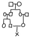 Solved What is the coefficient of consanguinity for the | Chegg.com