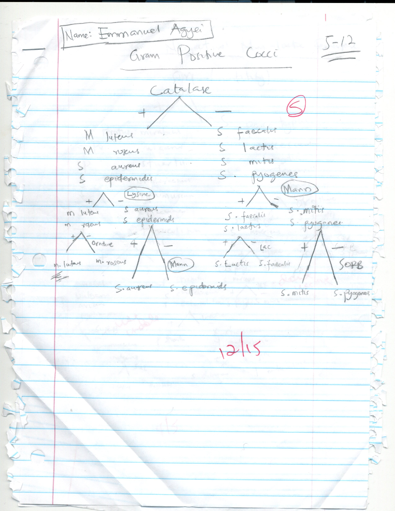 Solved Exercise 26 Identification of Unknown Bacterial