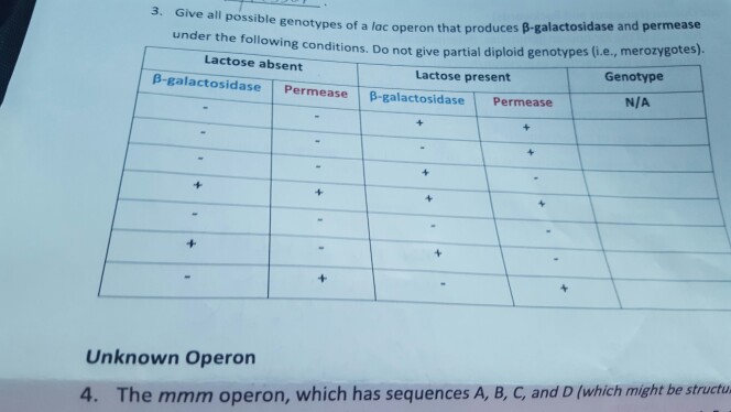 Solved Give all possible g of a lac operon that produces | Chegg.com