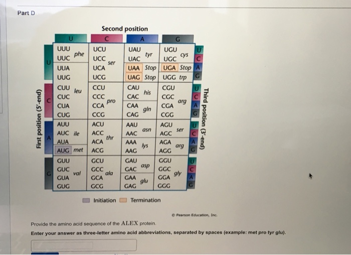 Solved Provide the amino acid sequence of the ALEX protein