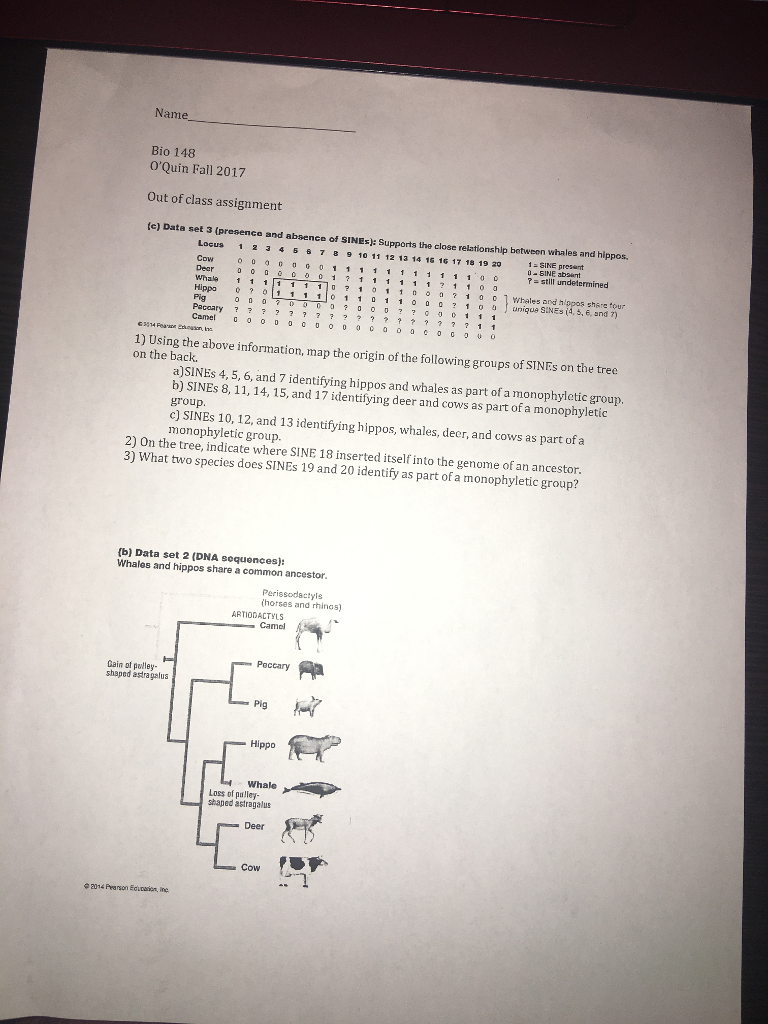 Quick cheap dissertation editing cost