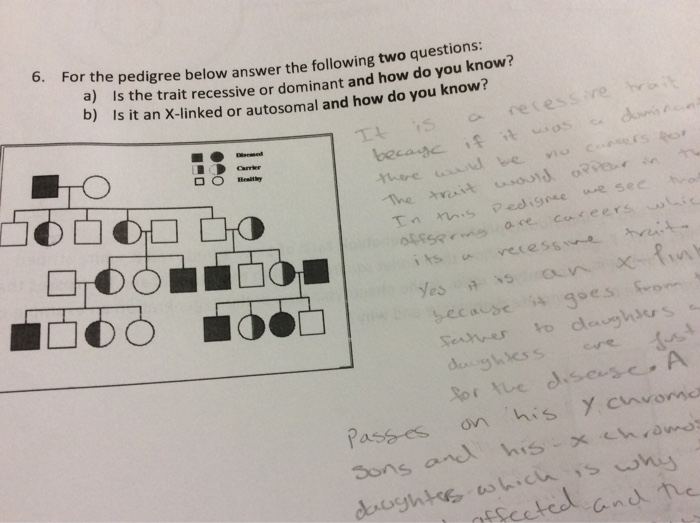 Solved For the pedigree below answer the following two | Chegg.com