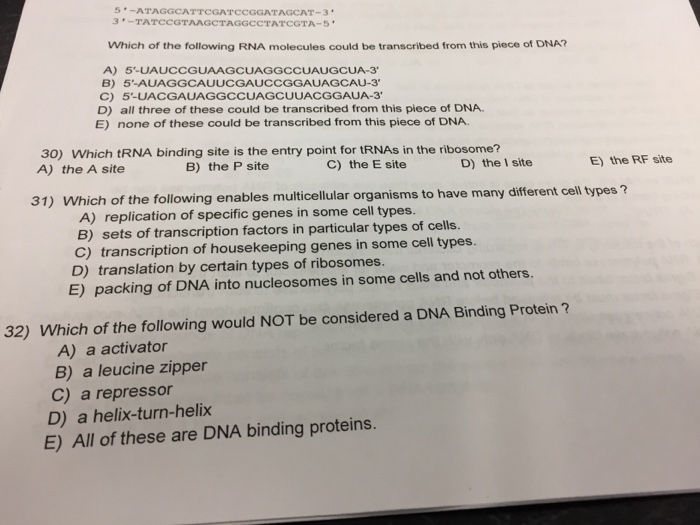 Solved 26) Which of the following might decrease the | Chegg.com