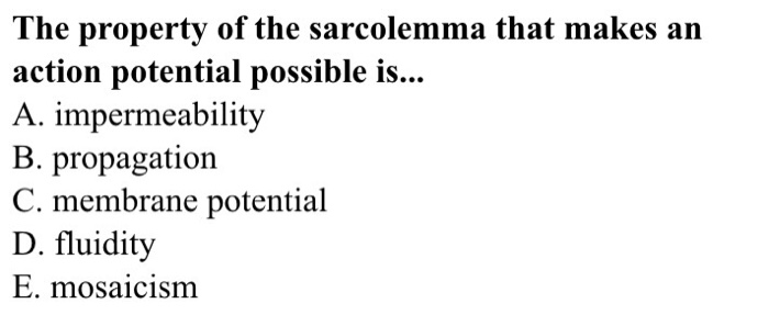 solved-the-property-of-the-sarcolemma-that-makes-an-action-chegg