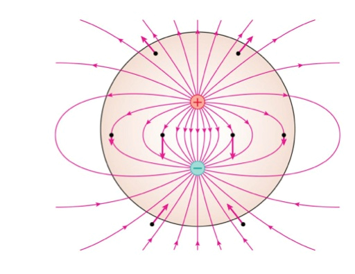 Solved A dipole moment is situated inside a spherical | Chegg.com