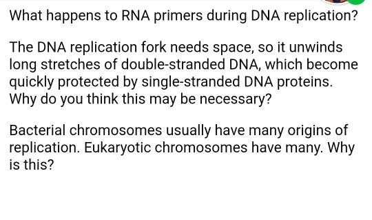 What Happens To Rna After Transcription