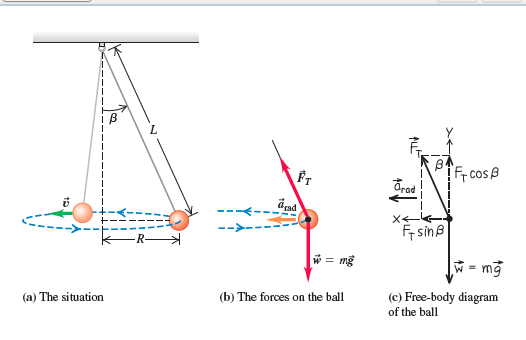 circular motion body diagrams circular motion body diagrams