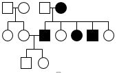 Solved In the pedigree below, 4 individuals have vitamin-D | Chegg.com