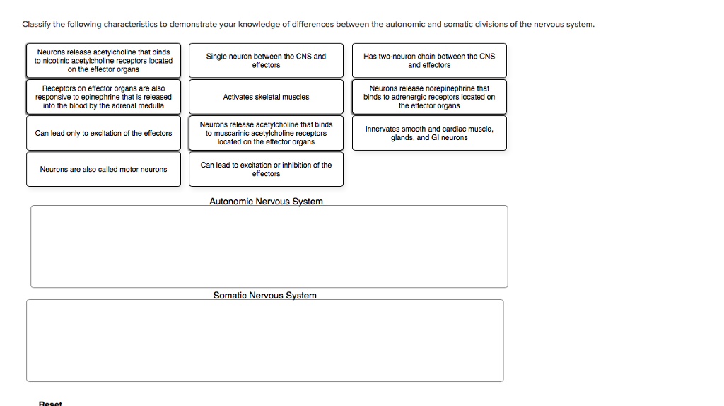 somatic nervous system vs autonomic nervous system somatic nervous system vs autonomic nervous system