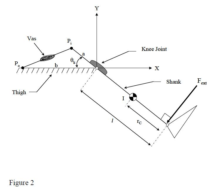 Solved 3. A man performs kneeextension exercises while