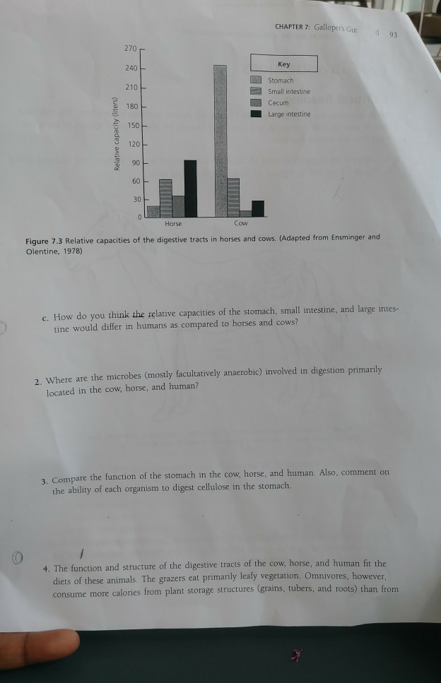 Solved CHAPTER 7: Galloper's Gut 93 270 Key Stomach Small | Chegg.com