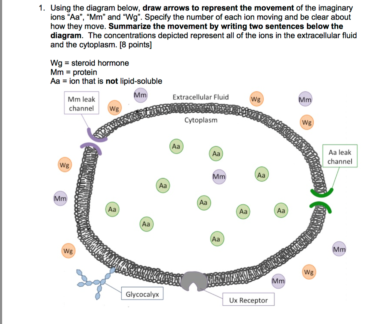 Solved Using the diagram below, draw arrows to represent the