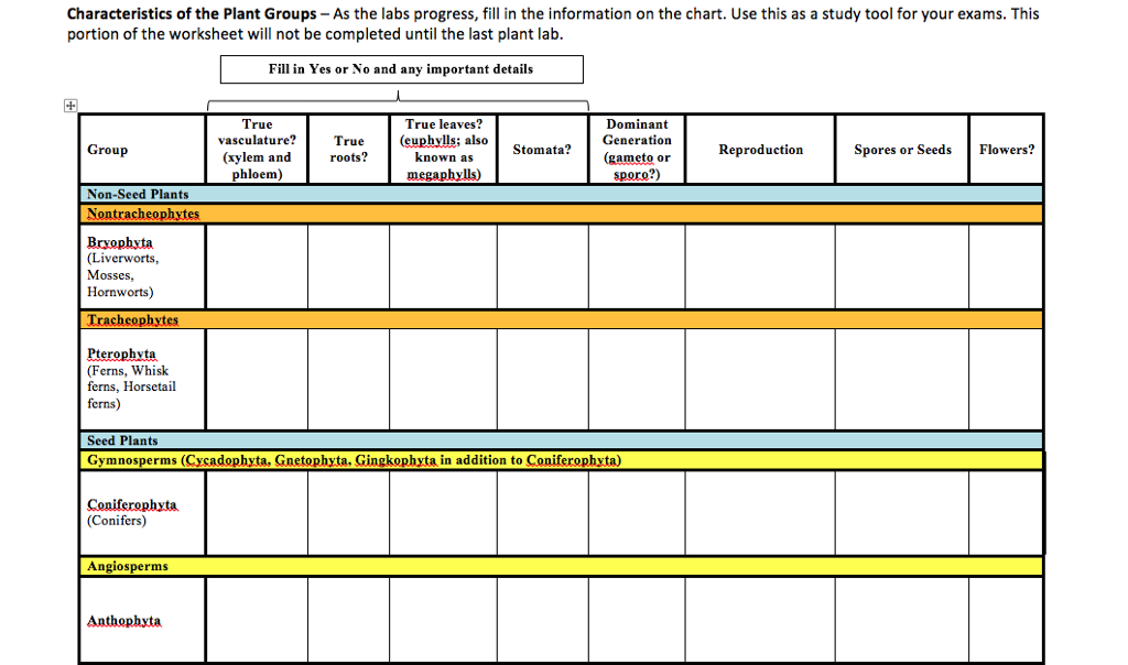 Solved Characteristics of the Plant Groups - As the labs | Chegg.com
