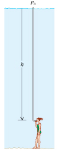 Solved There is a maximum depth at which a diver can breathe | Chegg.com