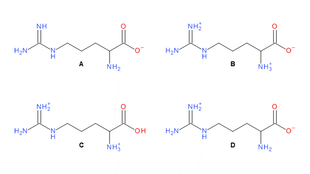 Arginine Protonated