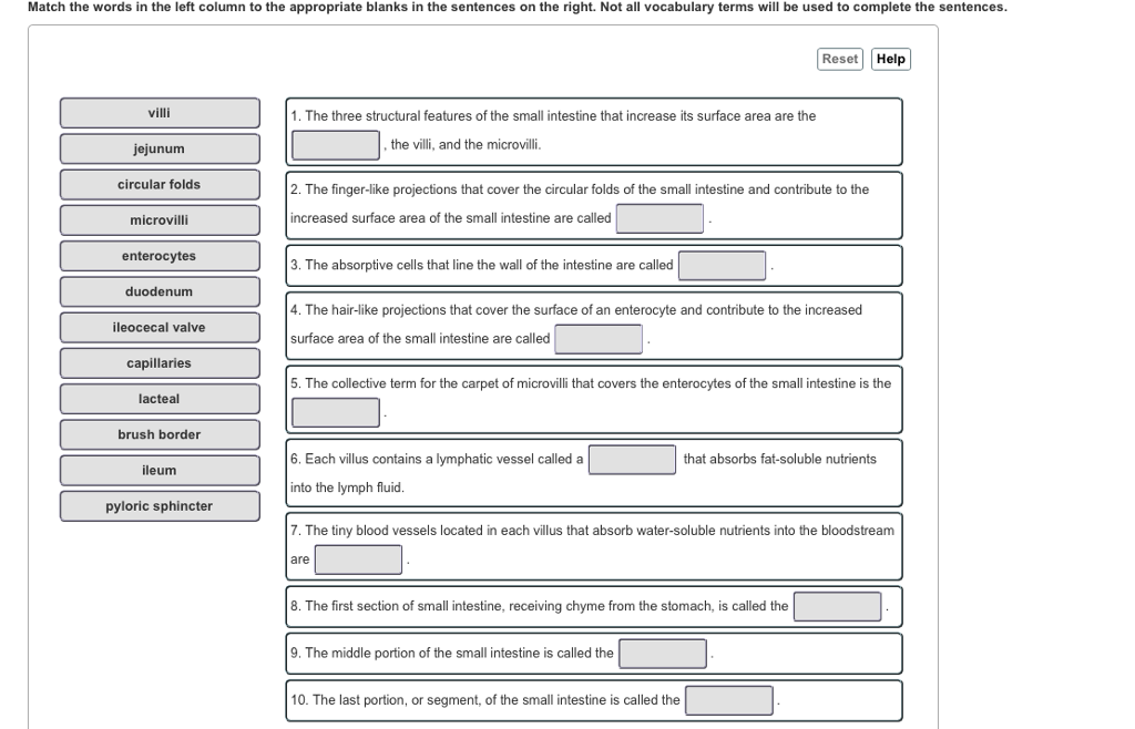 Can You Match The Following Words To Their Descriptions