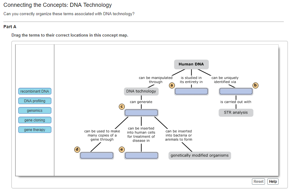 Solved: Connecting The Concepts: DNA Technology Can You Co... | Chegg.com