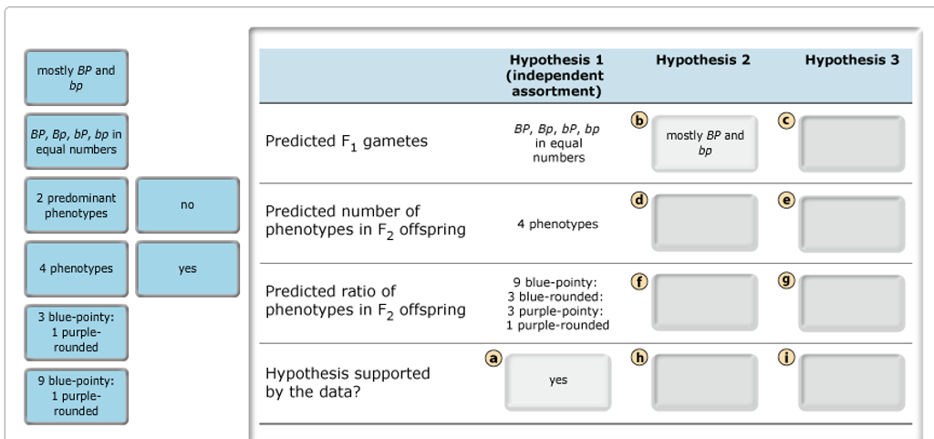 Solved Do the alleles for different characters always | Chegg.com