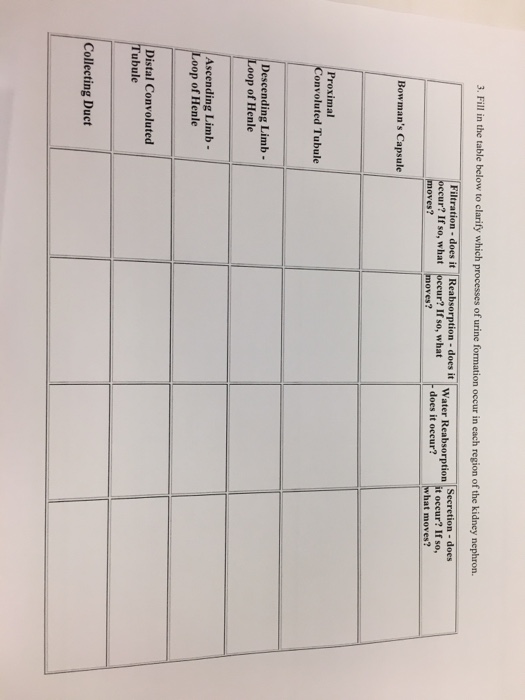 Solved Urinary Activity 1. Fill in the table below to | Chegg.com