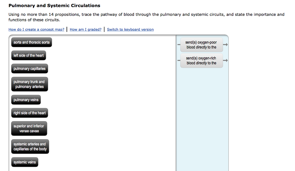 Solved Pulmonary and Systemic Circulations Using no more | Chegg.com