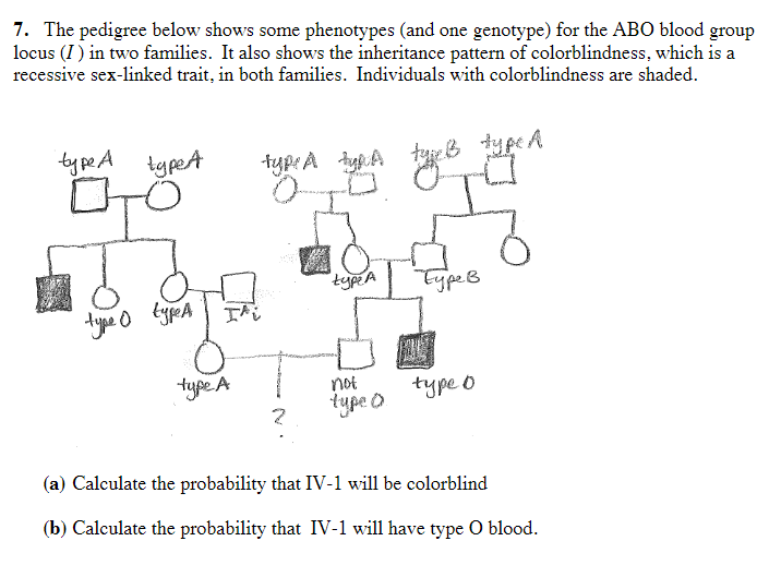 Blood Type Pedigree Chart