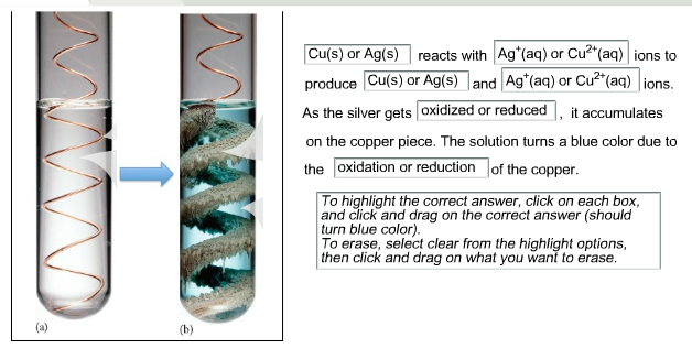 Solved (a) (b) Cu(s) Or Ag(s) Reacts With Ag (aq) Or Cu (aq) | Chegg.com