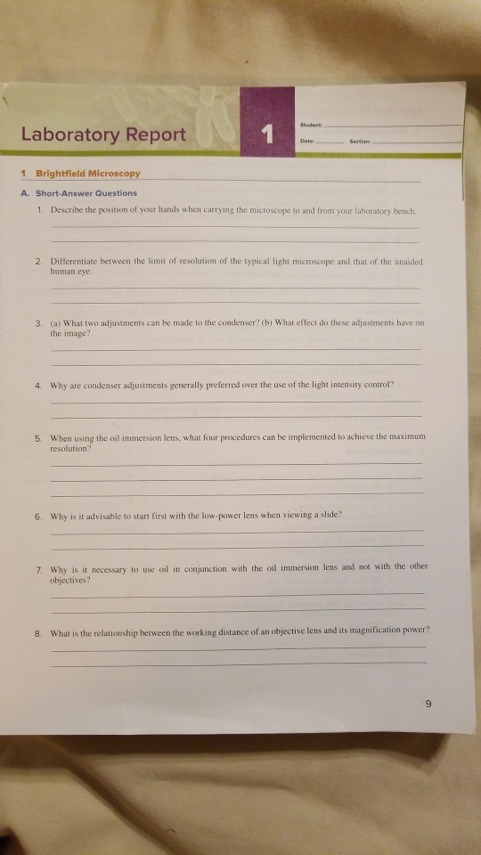 Solved Laboratory Report 1 Brightfield Microscopy A.