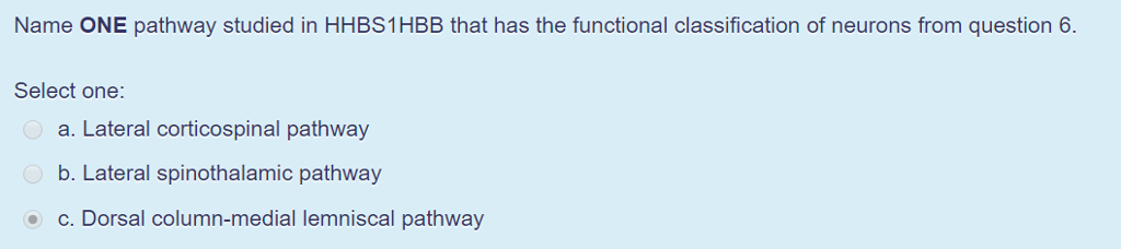 Solved Figure 1- Functional types of neurons and the | Chegg.com