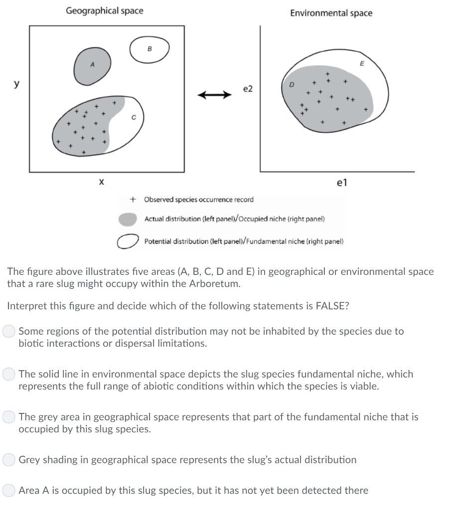 Solved Geographical Space Environmental Space 시 E2 E1 + | Chegg.com