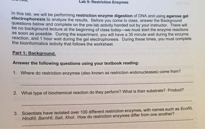 Solved In this lab, we will be performing restriction enzyme | Chegg.com