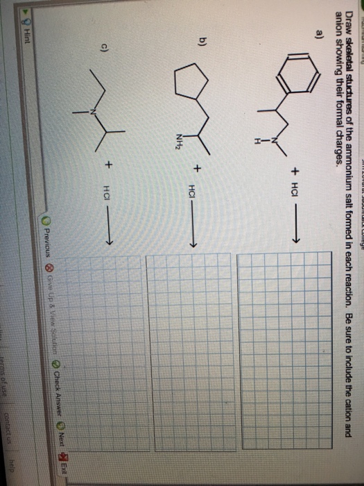 solved-draw-skeletal-structures-of-the-ammonium-salt-formed-chegg