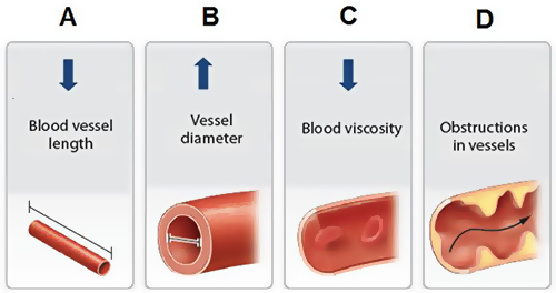 Solved 1) Which Of The Following Stimuli Is Detected By A 