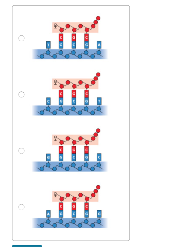 solved-in-dna-replication-in-bacteria-the-enzyme-dna-chegg