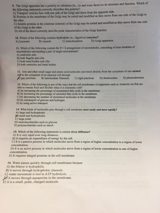 Solved The Golgi apparatus has a polarity or sidedness (ie., | Chegg.com