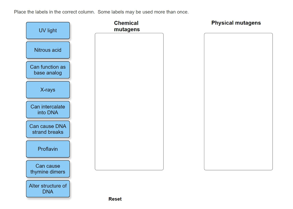 Solved Place the labels in the correct column. Some labels | Chegg.com