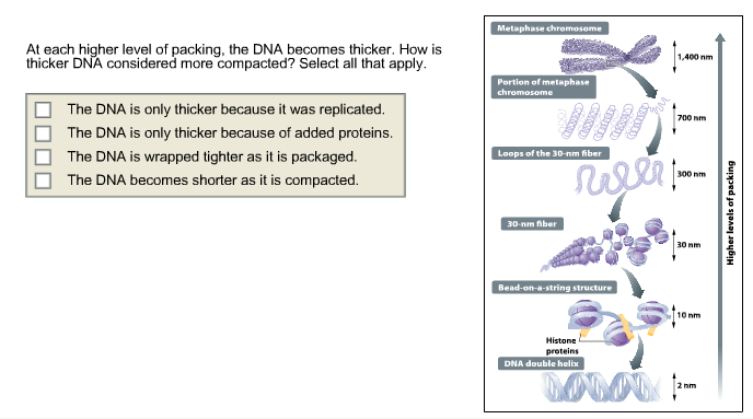 Solved DNA repair is necessary for normal gene function. | Chegg.com