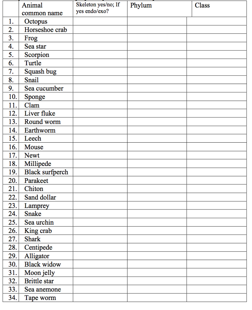 Solved classify each animal in the proper Phylum and Class | Chegg.com