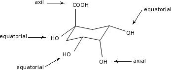 Why is the following structure for cordycepic acid | Chegg.com