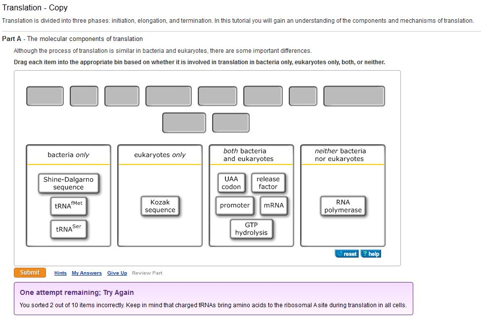 online rural electrification strategies for distributed