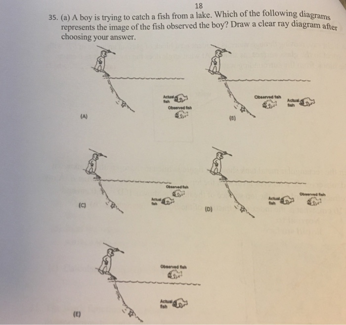 Solved A Boy Is Trying To Catch A Fish From A Lake. Which Of | Chegg.com