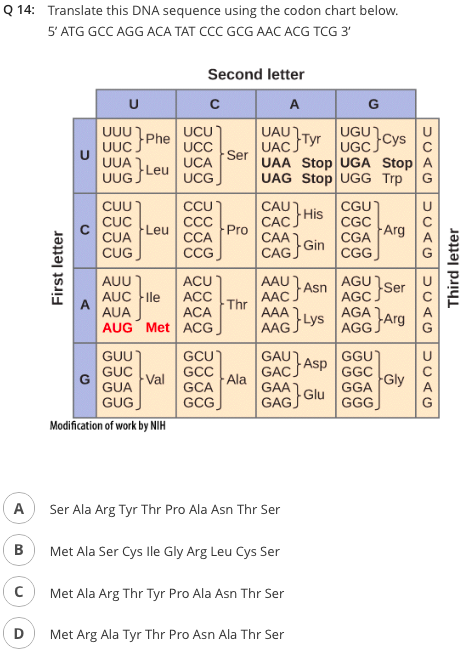 Solved 14 Translate this DNA sequence using the codon chart | Chegg.com