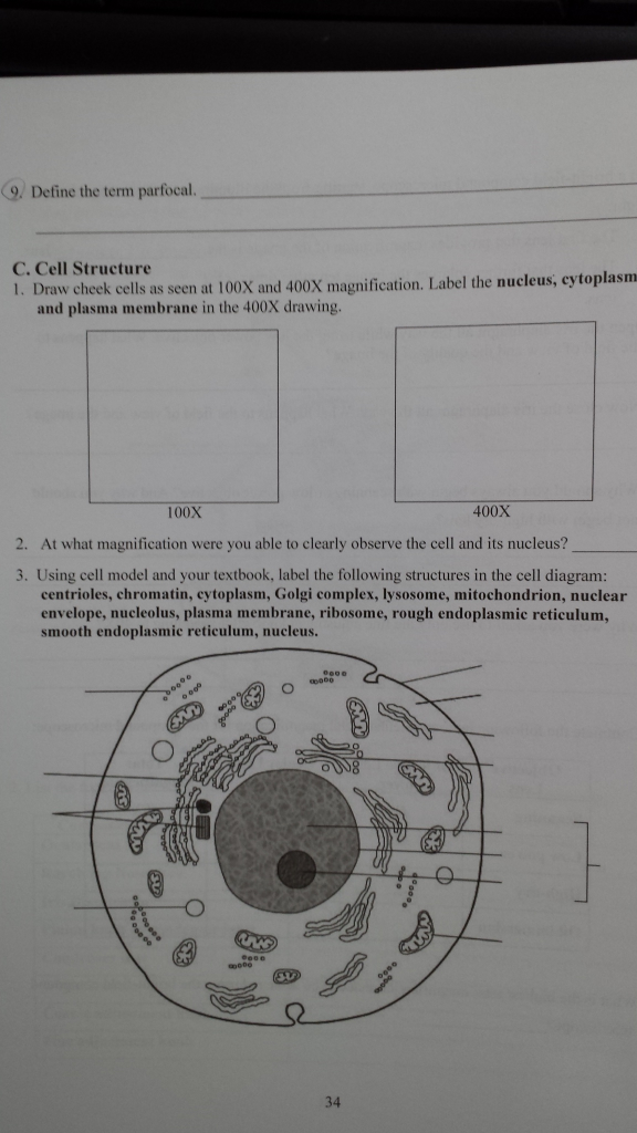 Solved Define the term parfocal C.Cell Structure 1. Draw