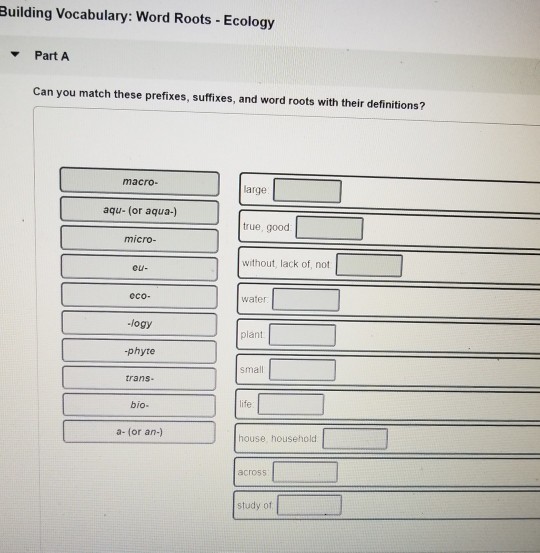 Solved Building Vocabulary Word Roots  Ecology Part A   Chegg.com