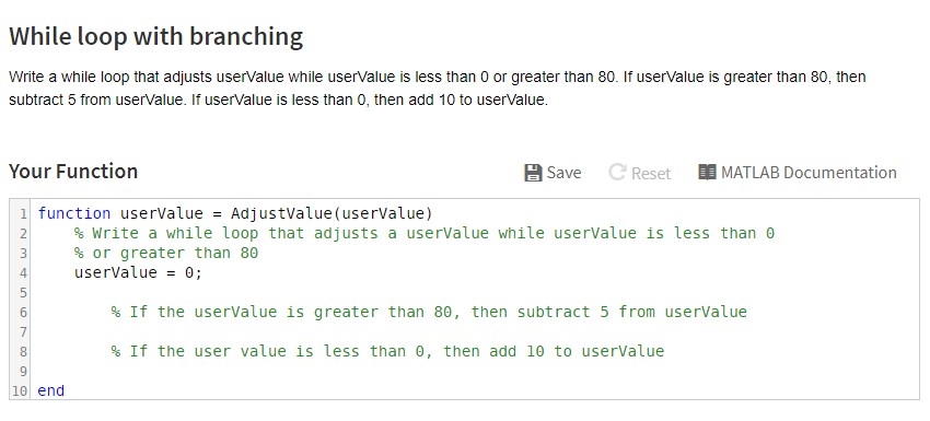 loop branching matlab adjusts