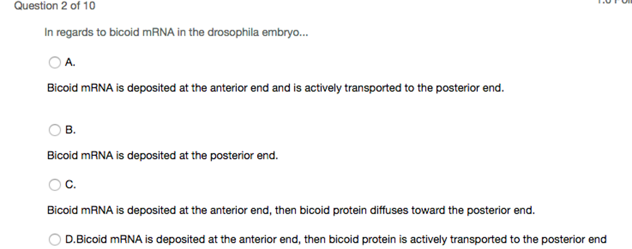 Solved In regards to bicoid mRNA in the drosophila embryo... | Chegg.com