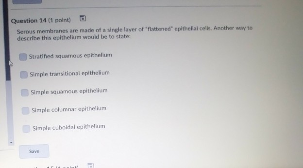 solved-question-14-1-point-serous-membranes-are-made-of-a-chegg