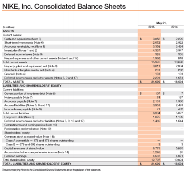 Nike inc hot sale financial statements