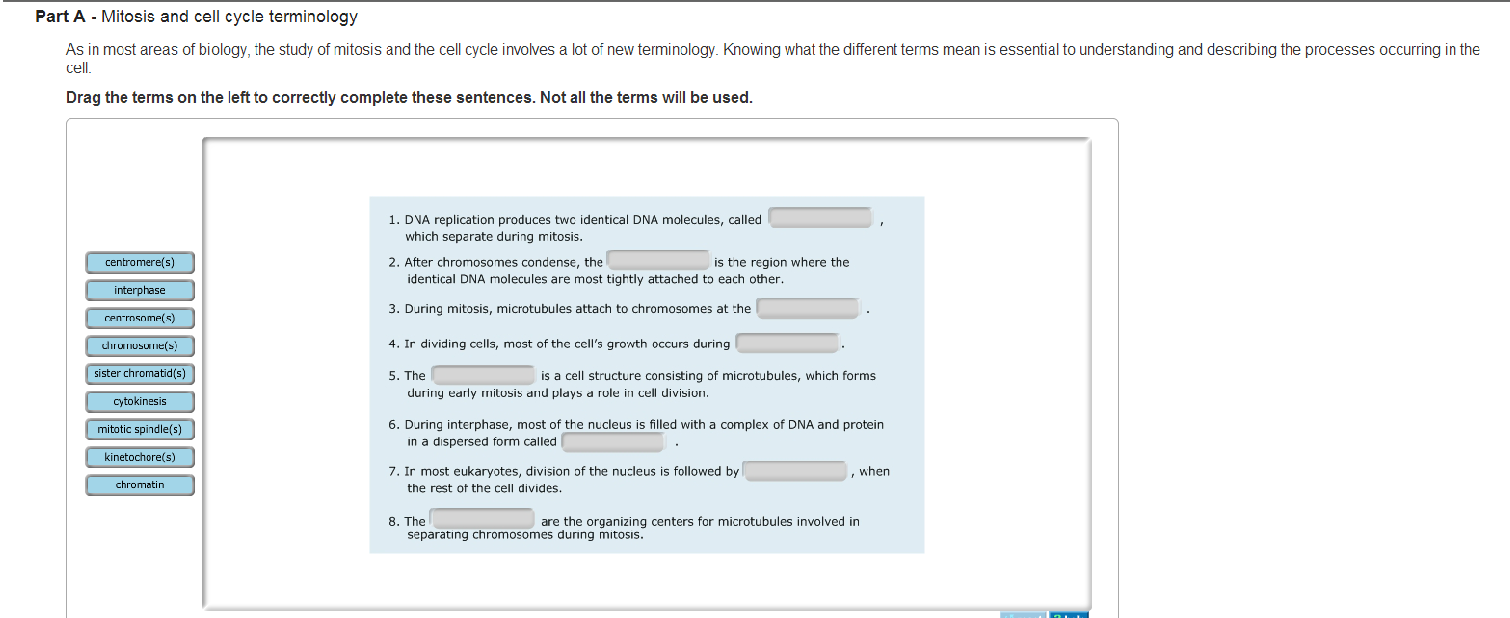 Solved Mitosis And Cell Cycle Terminology As In Most Area Chegg Com